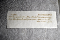 Detalle 2